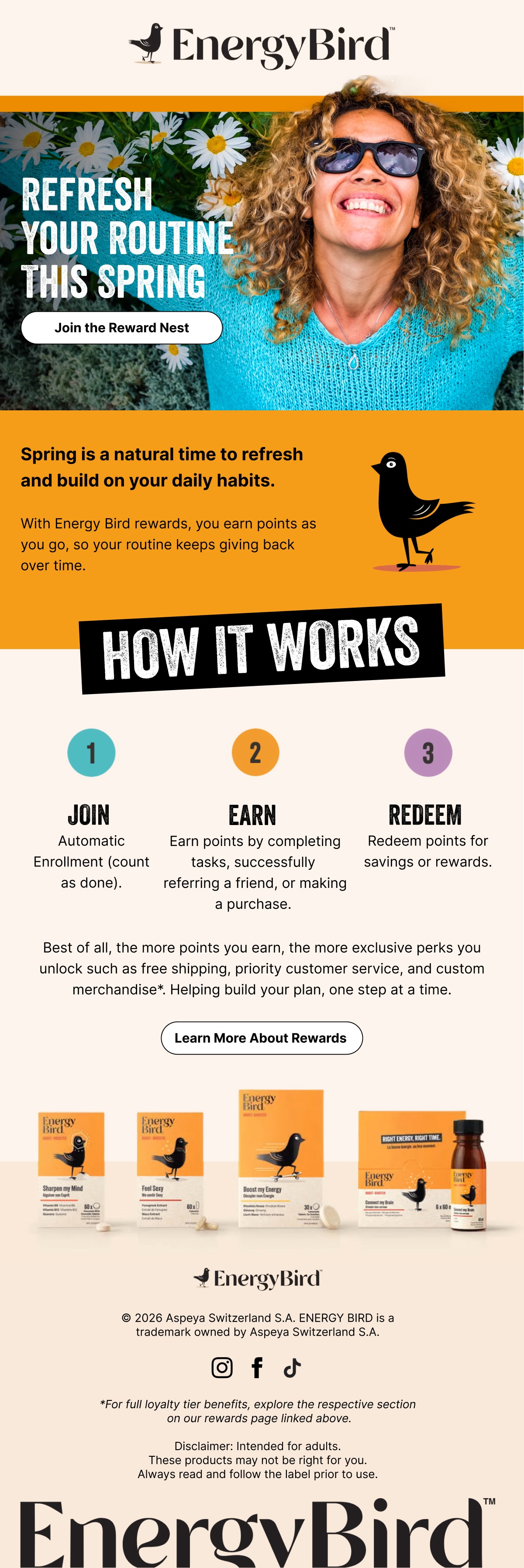 EnergyBird: Loyalty rewards introduction, full email design
