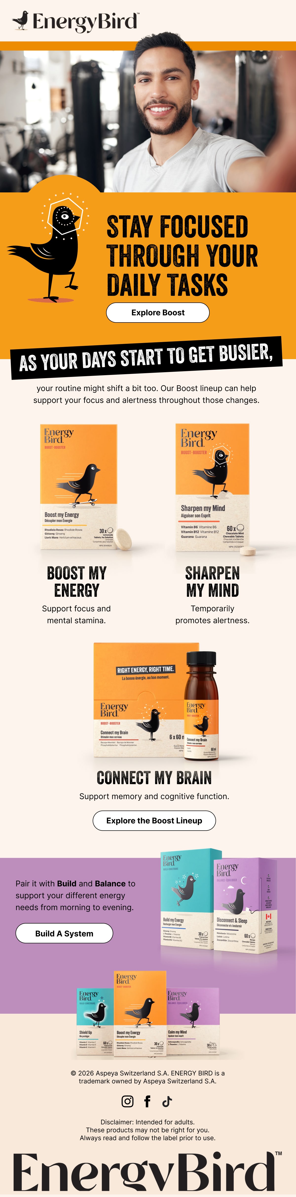 EnergyBird: Daily routine campaign, full email design